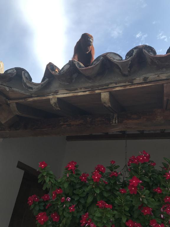 La Casa Amarilla Bed & Breakfast Mompos Exterior photo